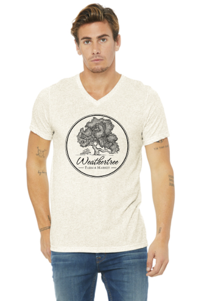 Short Sleeve V-neck T-shirt - Multiple Colors